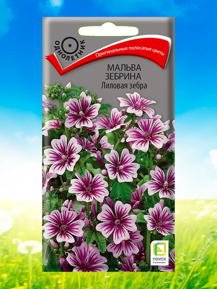 Семена Мальва (шток-роза) "Зебрина Лиловая зебра" 0,2гр "Поиск" ("2, 10)