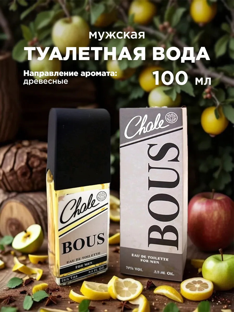 Туалетная вода мужская Chale BOUS edt100ml (9)