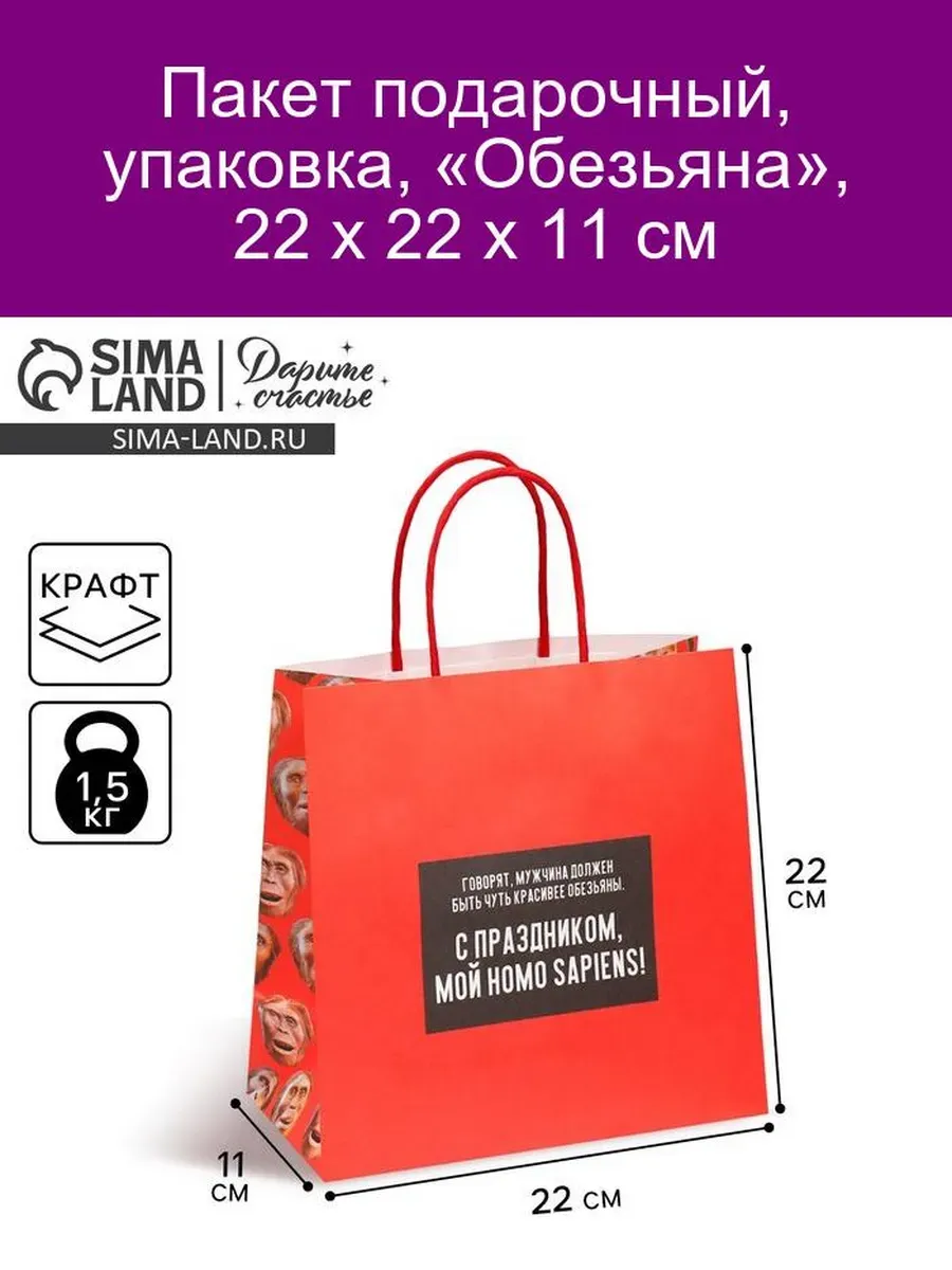Пакет подарочный «Обезьяна», 22 х 22 х 11 см 7980134