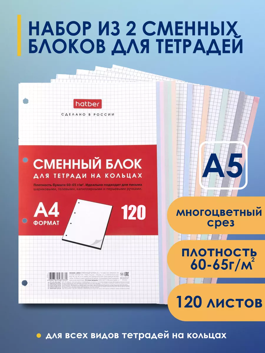 Сменный блок А5 120л клетка для тетрадей на кольцах Универсальная перфорация Многоцветный срез в ин