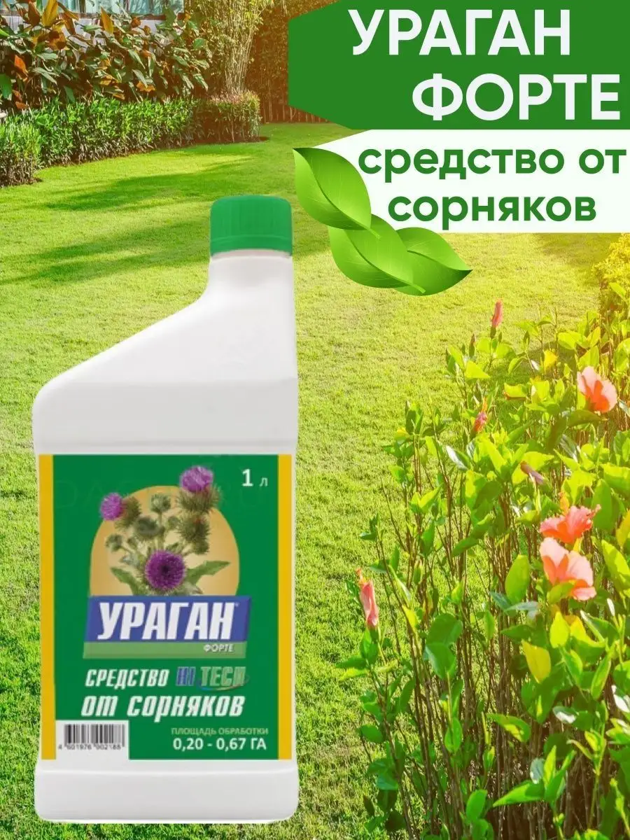 Ураган 1л