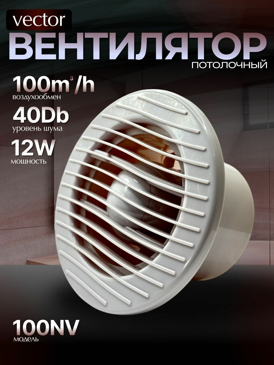 Вентилятор Вектор 100 В