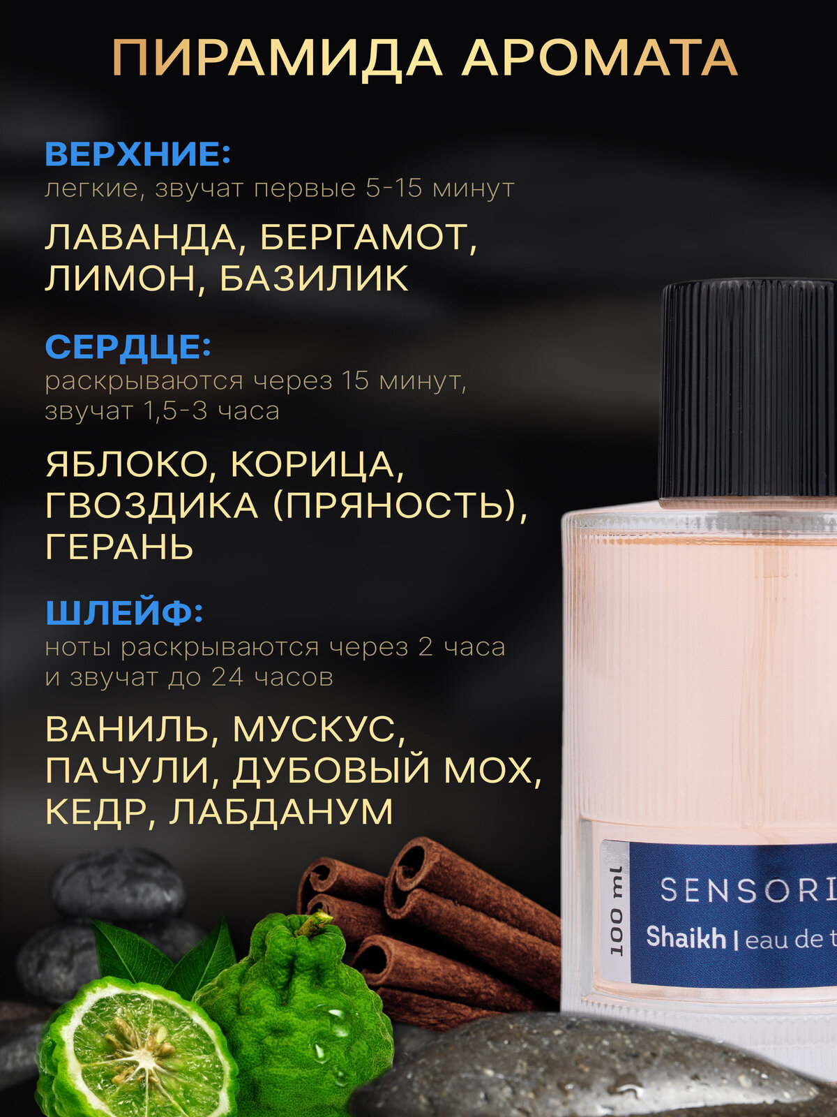 Туалетная вода мужская Sensorium Shaikh, 100 мл 10953193