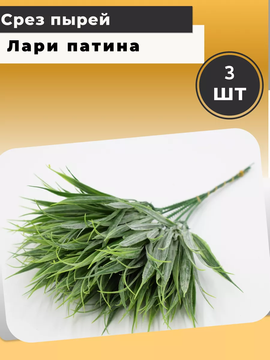 зелень пырей срез