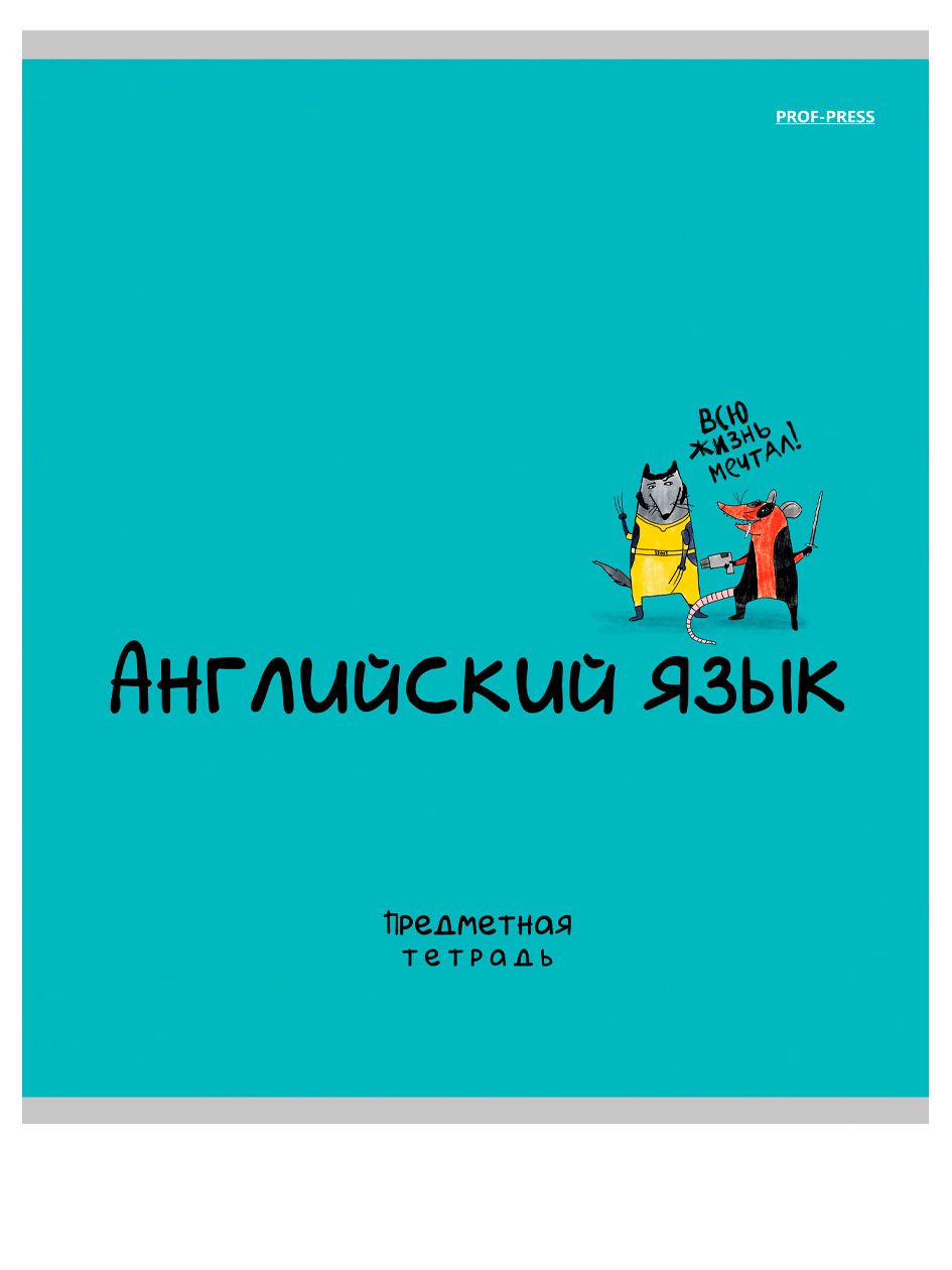 Тетрадь предметная «MINI FRIENDS» А5 48л ИНОСТРАННЫЙ ЯЗЫК клетка, обл.картон, тиснение лён
