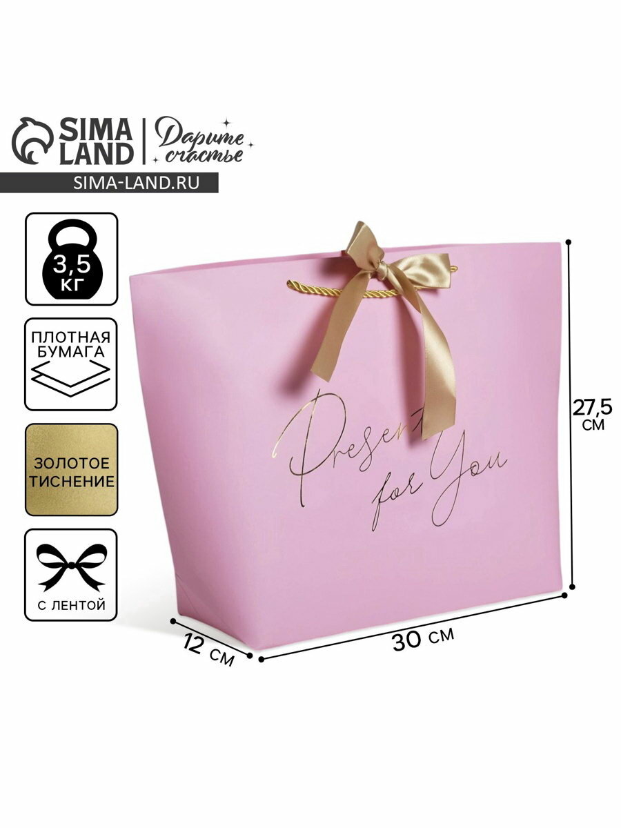Пакет подарочный «Present for you», 42 х 27,5 х 12 см 4785011