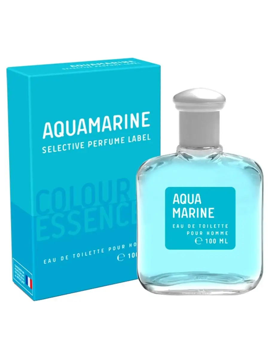 Туалетная вода мужская ColorEssences AQUAMARINE edt100ml (версия AquaDiGio)