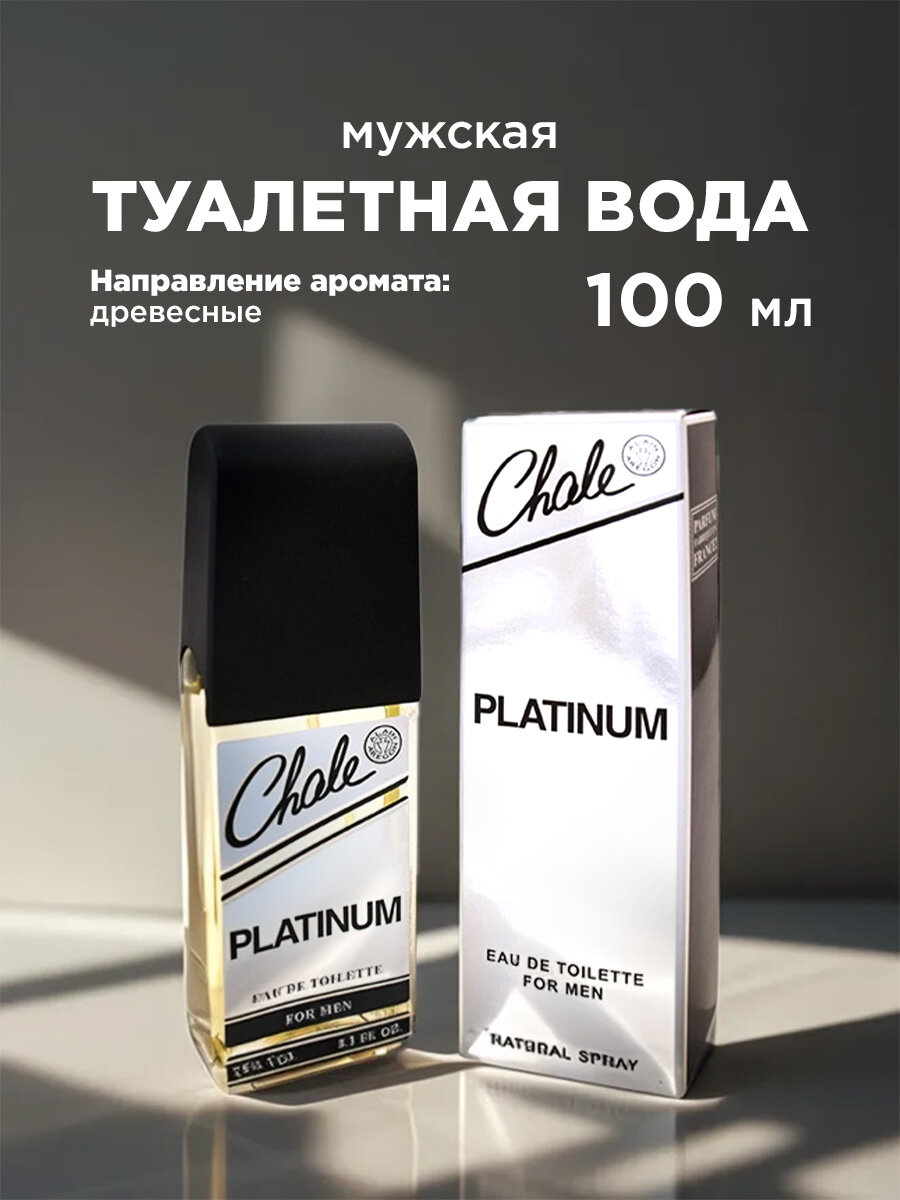 Туалетная вода мужская Chale PLATINUM edt100ml (9)