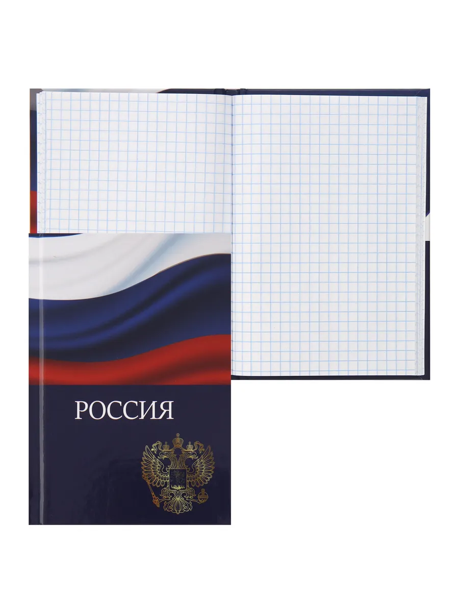 ЗАПИСНАЯ КНИЖКА А6 48л.,арт.48-8295