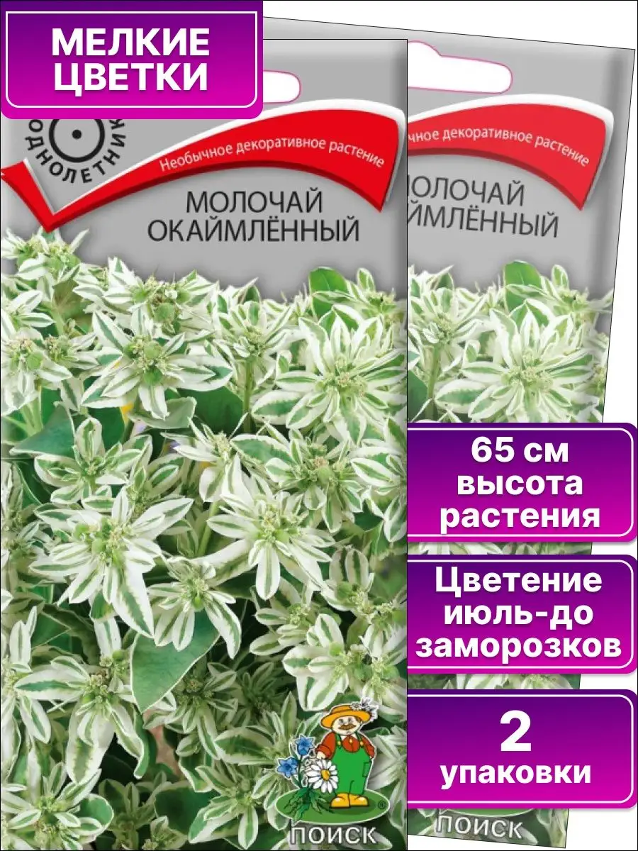 Семена Молочай окаймленный 0,2гр "Поиск" (*1,10)