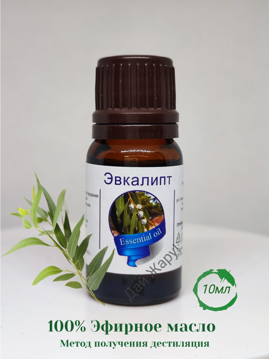 Масло эфирное Эвкалипт 10мл (и/у) Сибирь намедойл 0336 *(, 01.02.2028)*