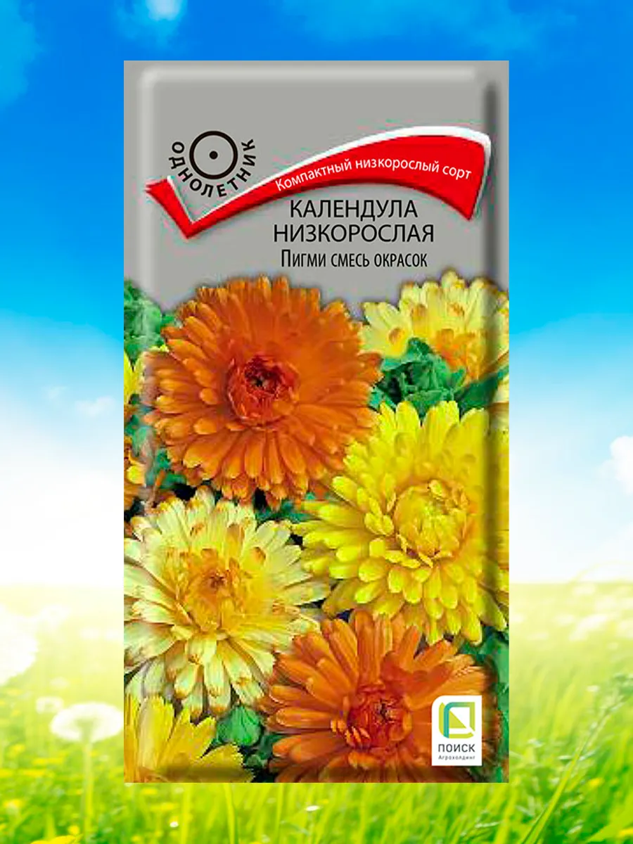 Семена Календула низкорослая "Пигми смесь окрасок" 0,3гр "Поиск" ("1, 10)