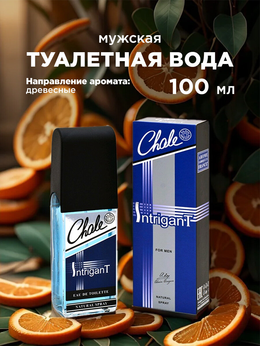 Туалетная вода мужская Chale INTRIGANT edt100ml (9)