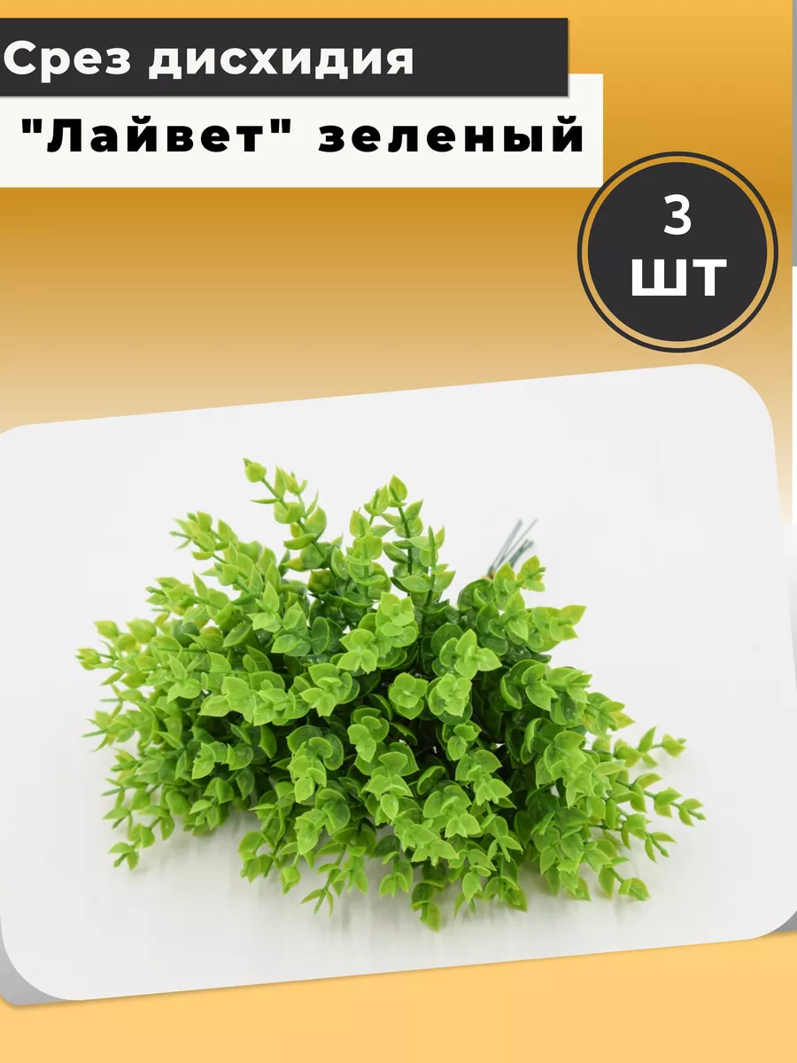 зелень срез 2