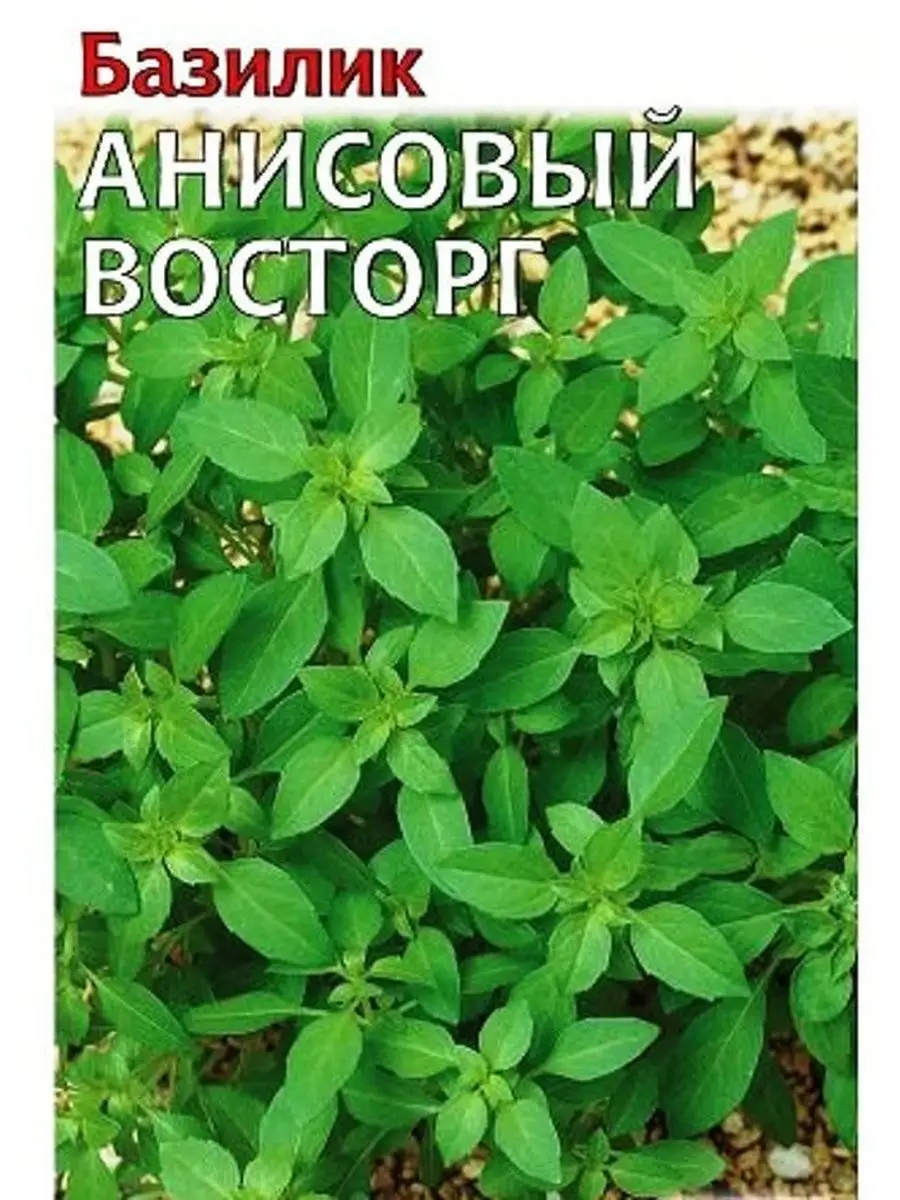 Семена Базилик зеленый "Анисовый Восторг" 0,1гр "Гавриш" (10)