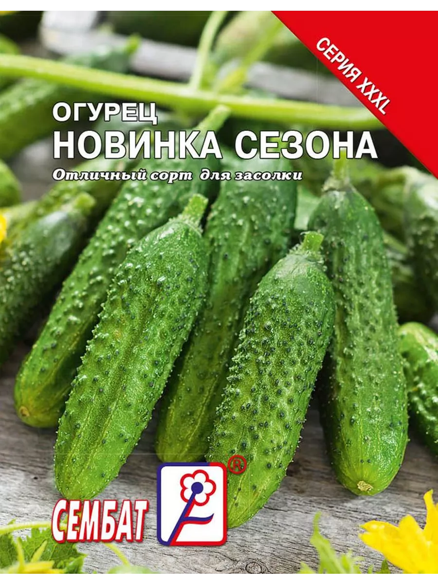 Семена Огурец "Новинка сезона" 5гр XXXL "Сембат" (10)