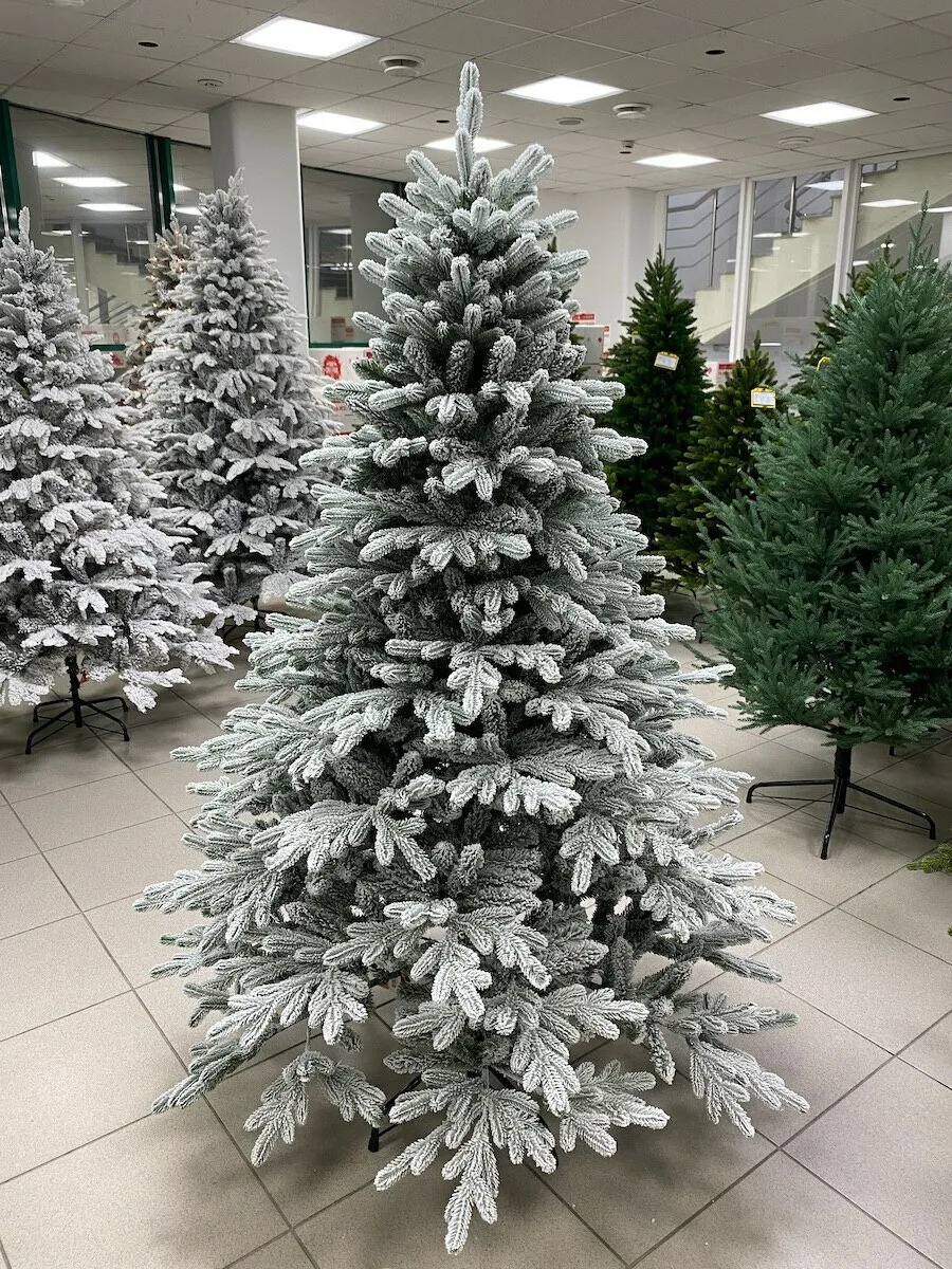 Ель заснеж