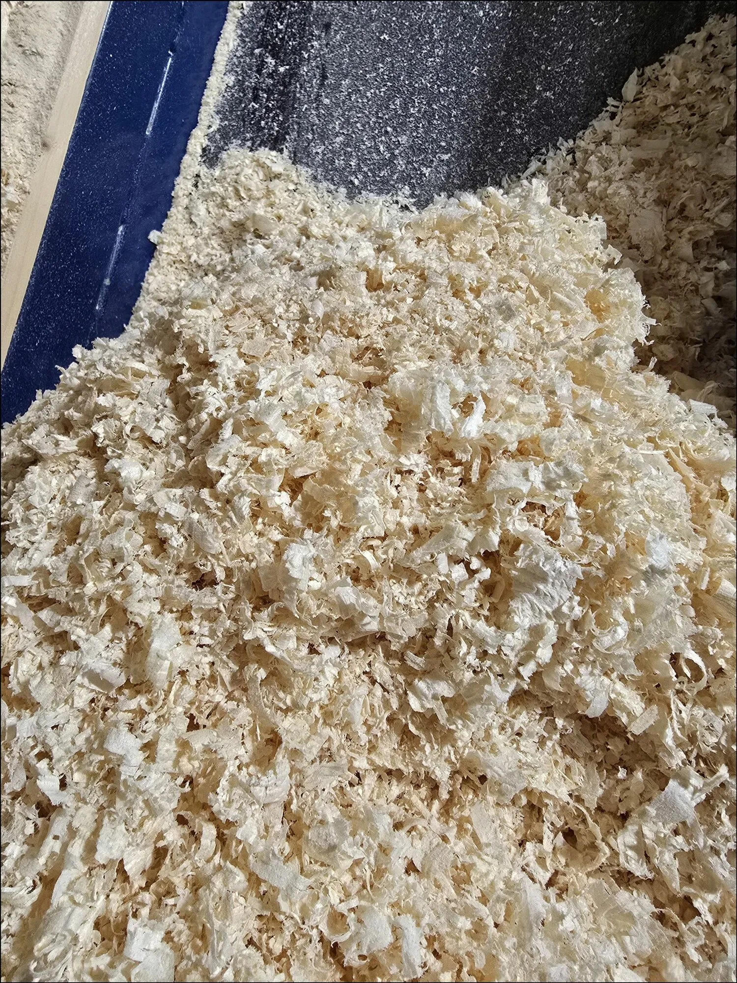 Опилки
