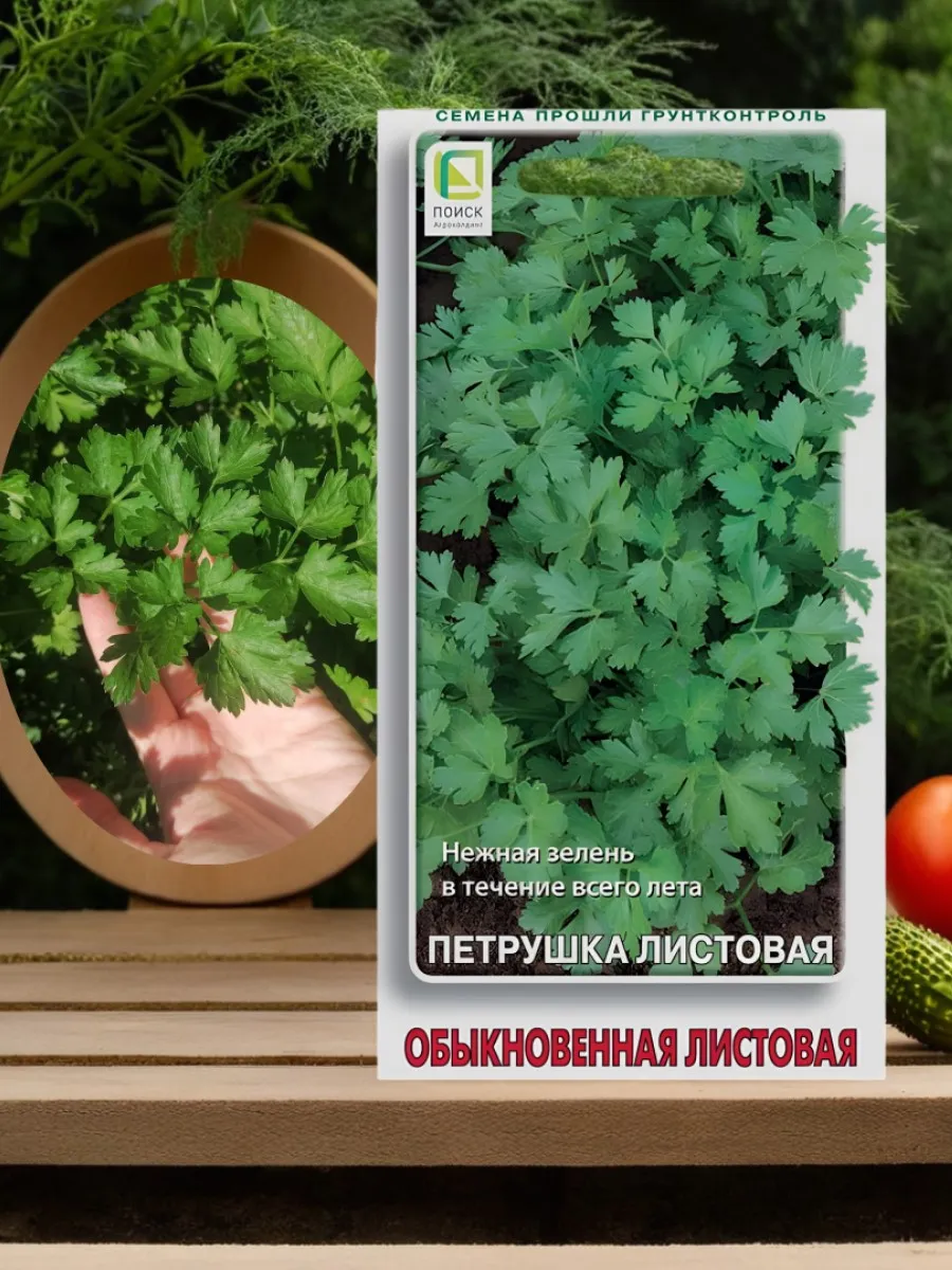 Семена Петрушка листовая "Обыкновенная" 3гр "Поиск" (10)