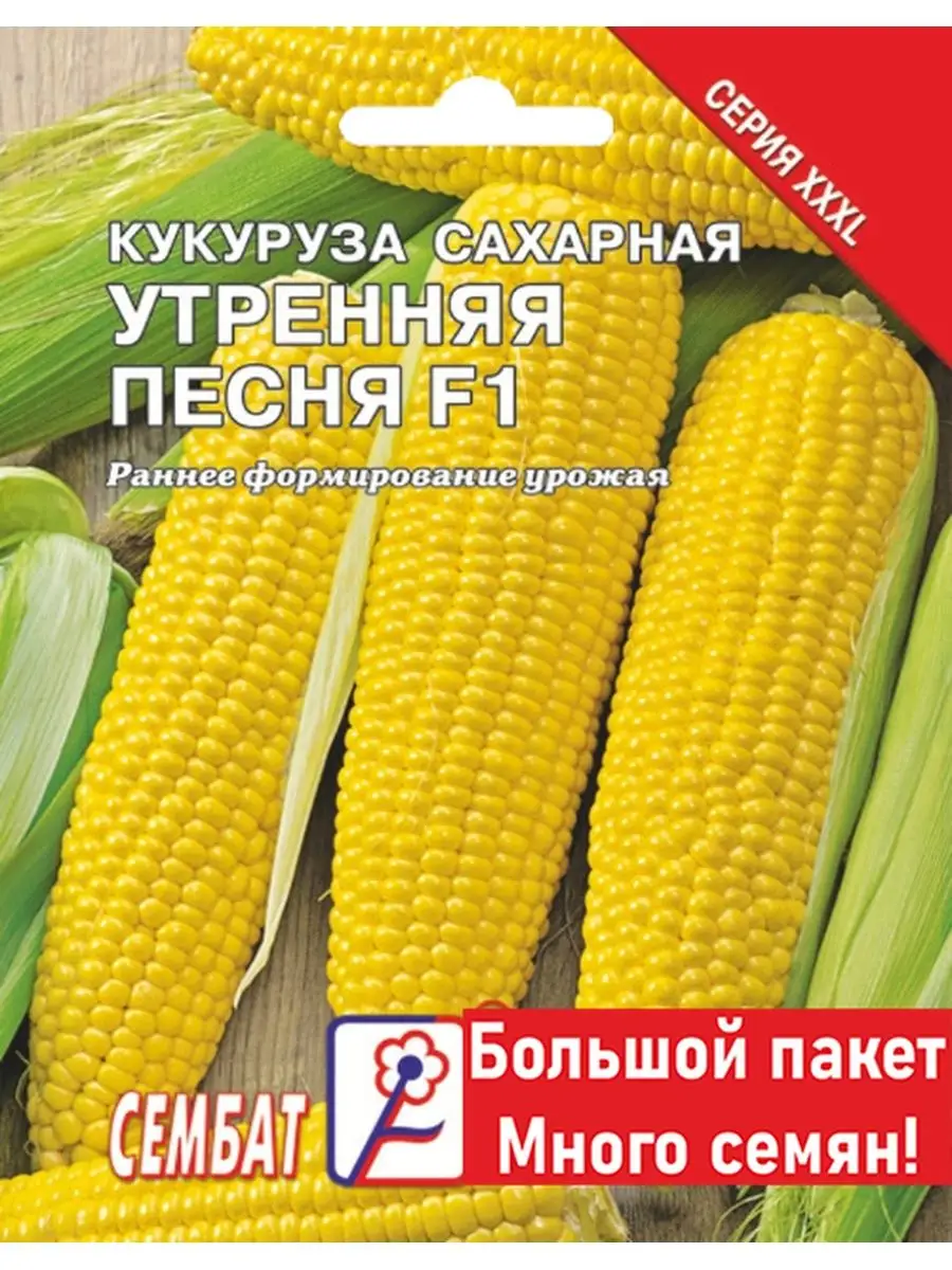 Семена Кукуруза "Утренняя песня F1" 20гр XXXL "Сембат" (10)