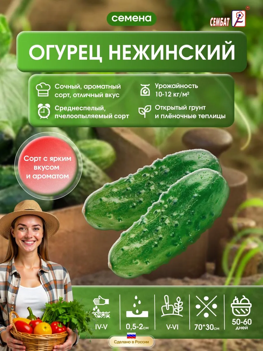 Семена Огурец "Нежинский 12" 0,5гр "Сембат" (10)|