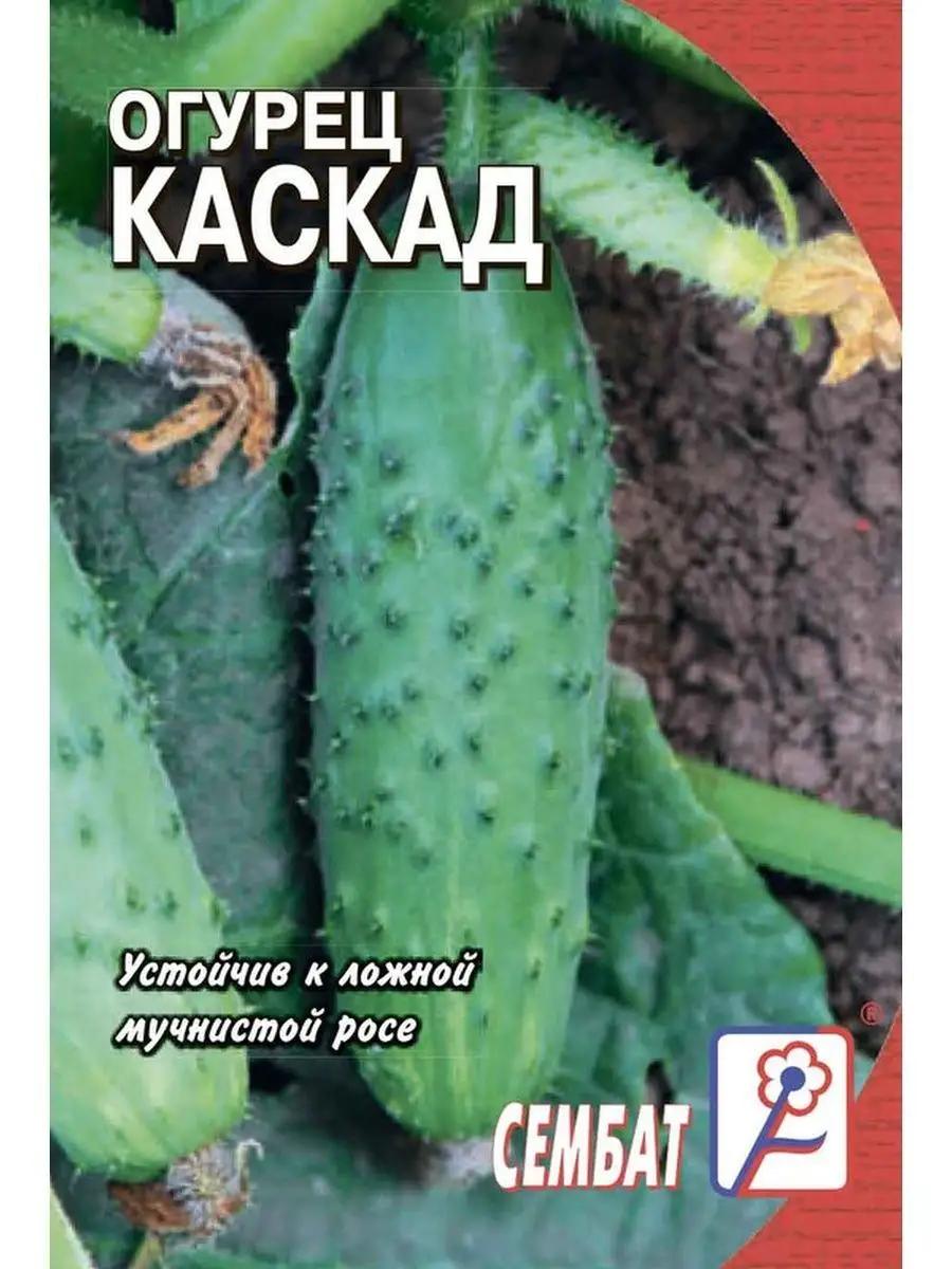 Семена Огурец "Каскад" 0,5гр "Сембат" (10)