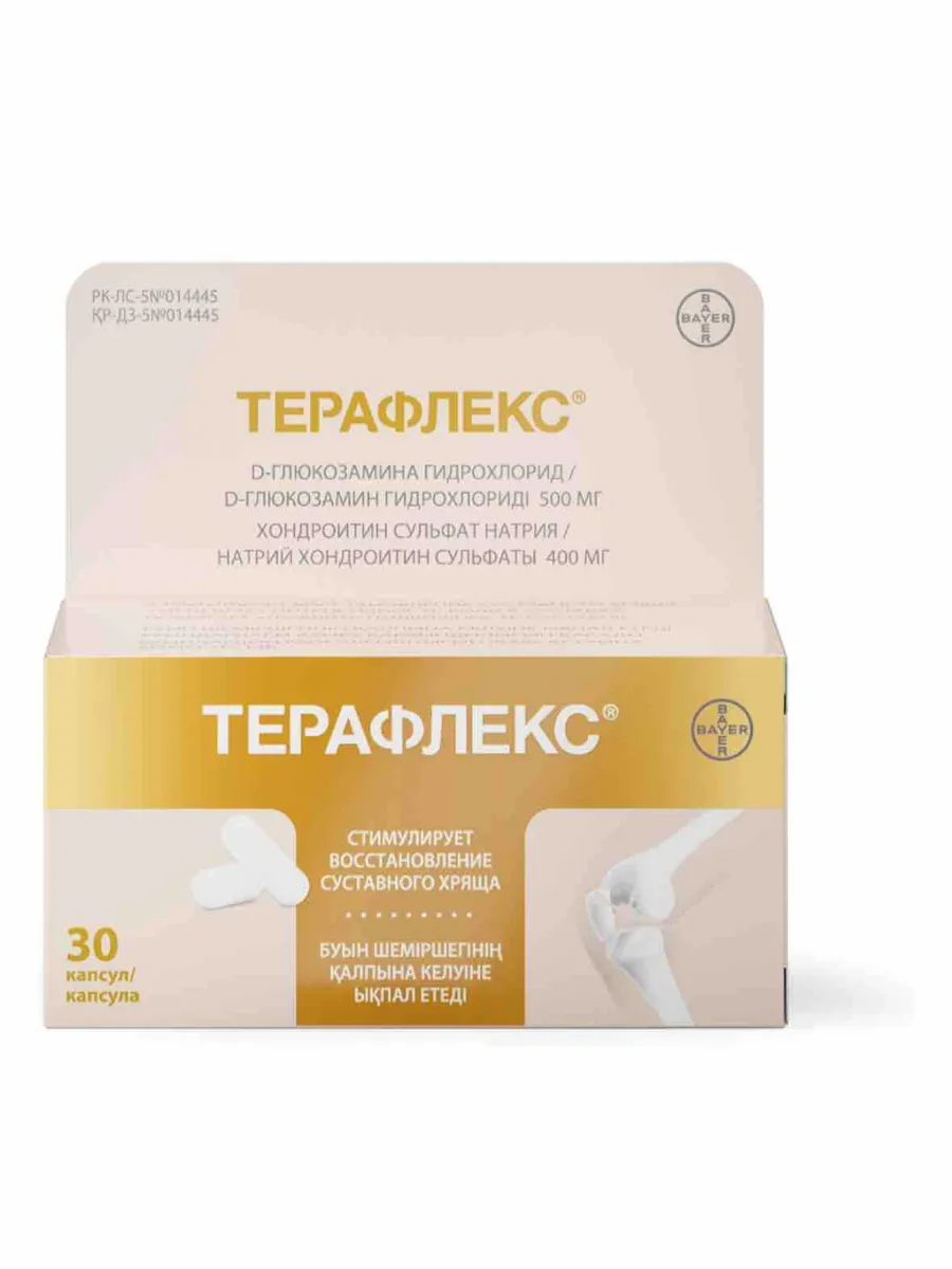 Пена ТЕРАФЛЕКС 45*600гр (2в1) (30)