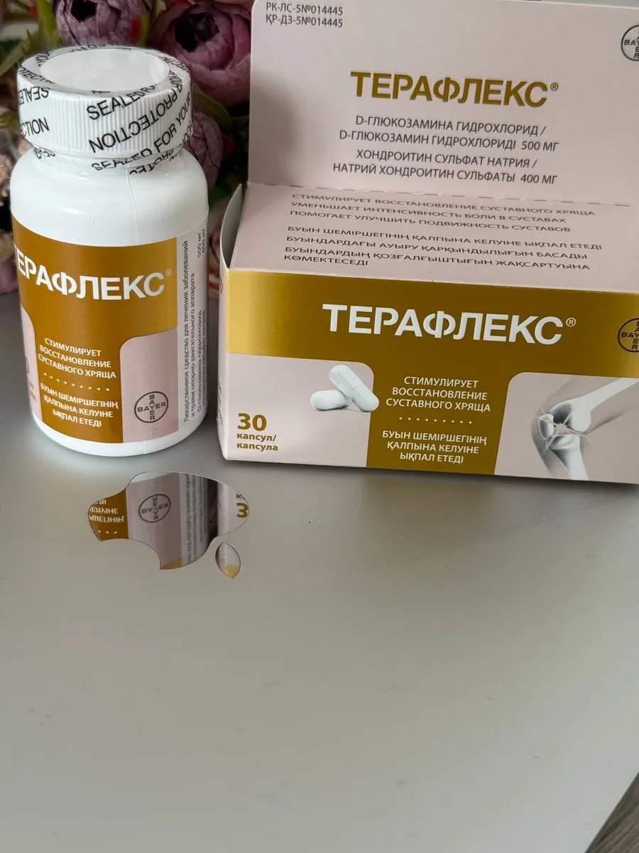 Пена ТЕРАФЛЕКС 55*700гр (2в1) (30)