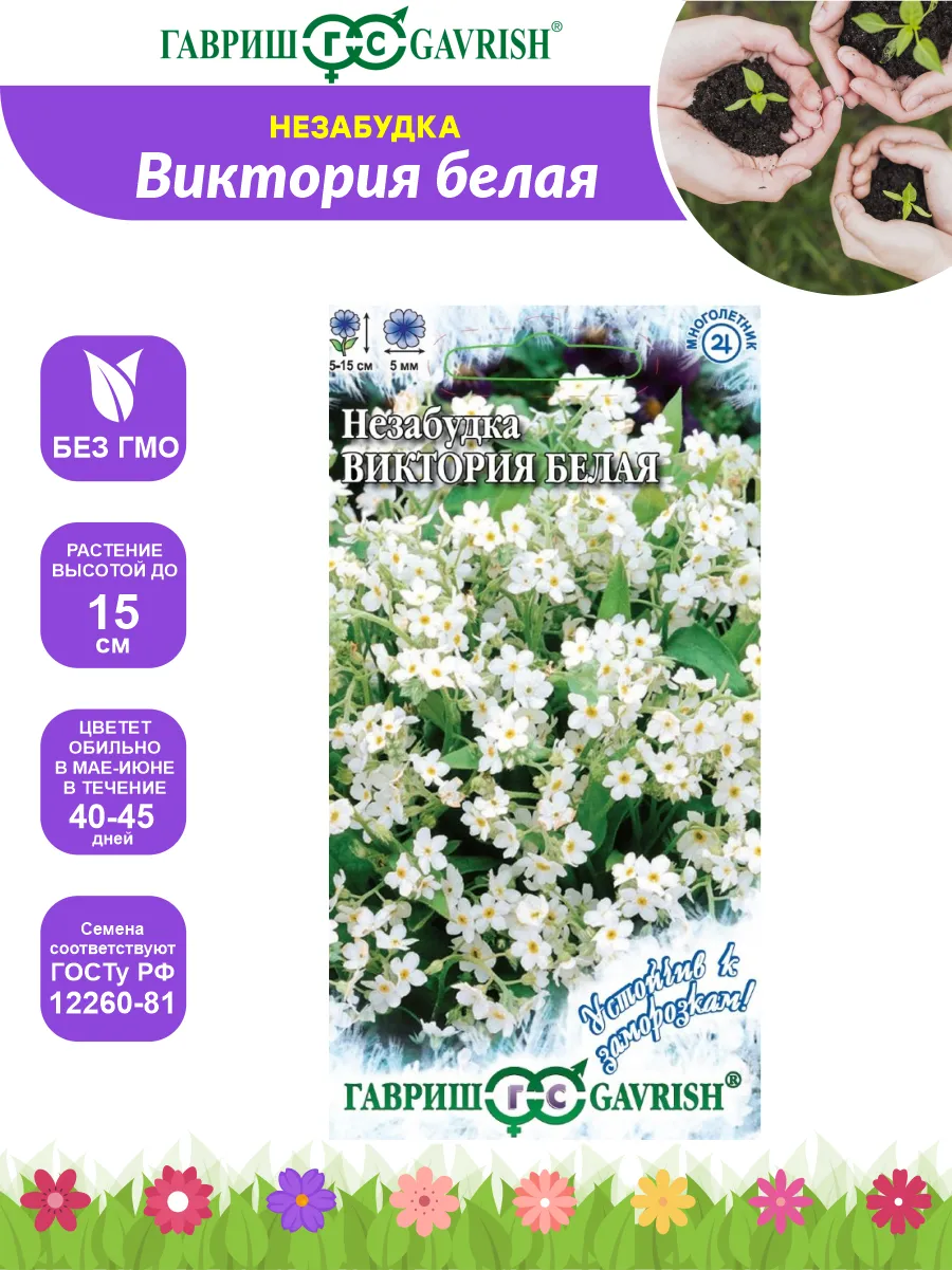 Семена Незабудка альпийская "Виктория белая" 0,03гр "Гавриш" ("М, 10)