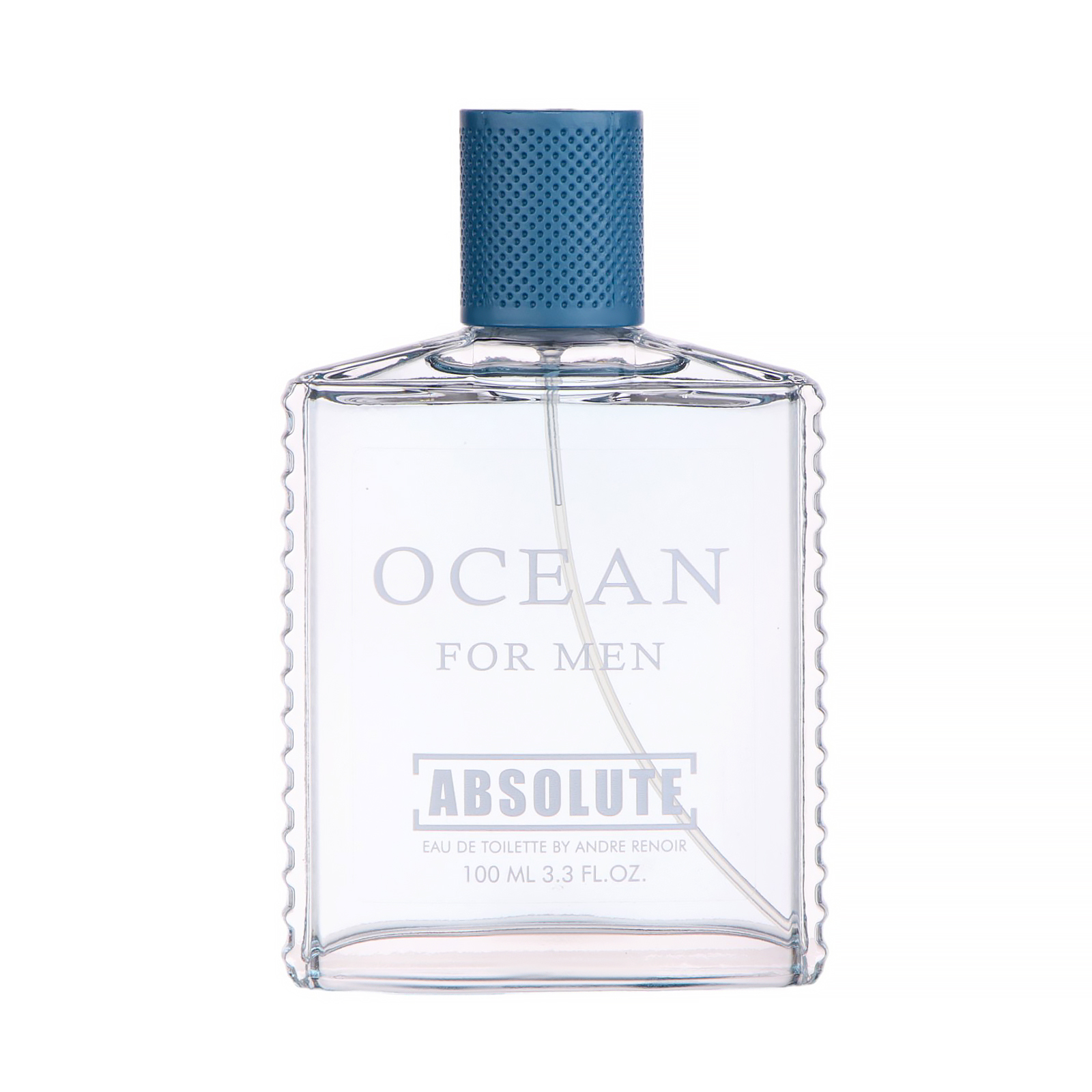 Туалетная вода мужская Absolute Ocean (по мотивам Aqua Pour Homme), 100 мл 10602966