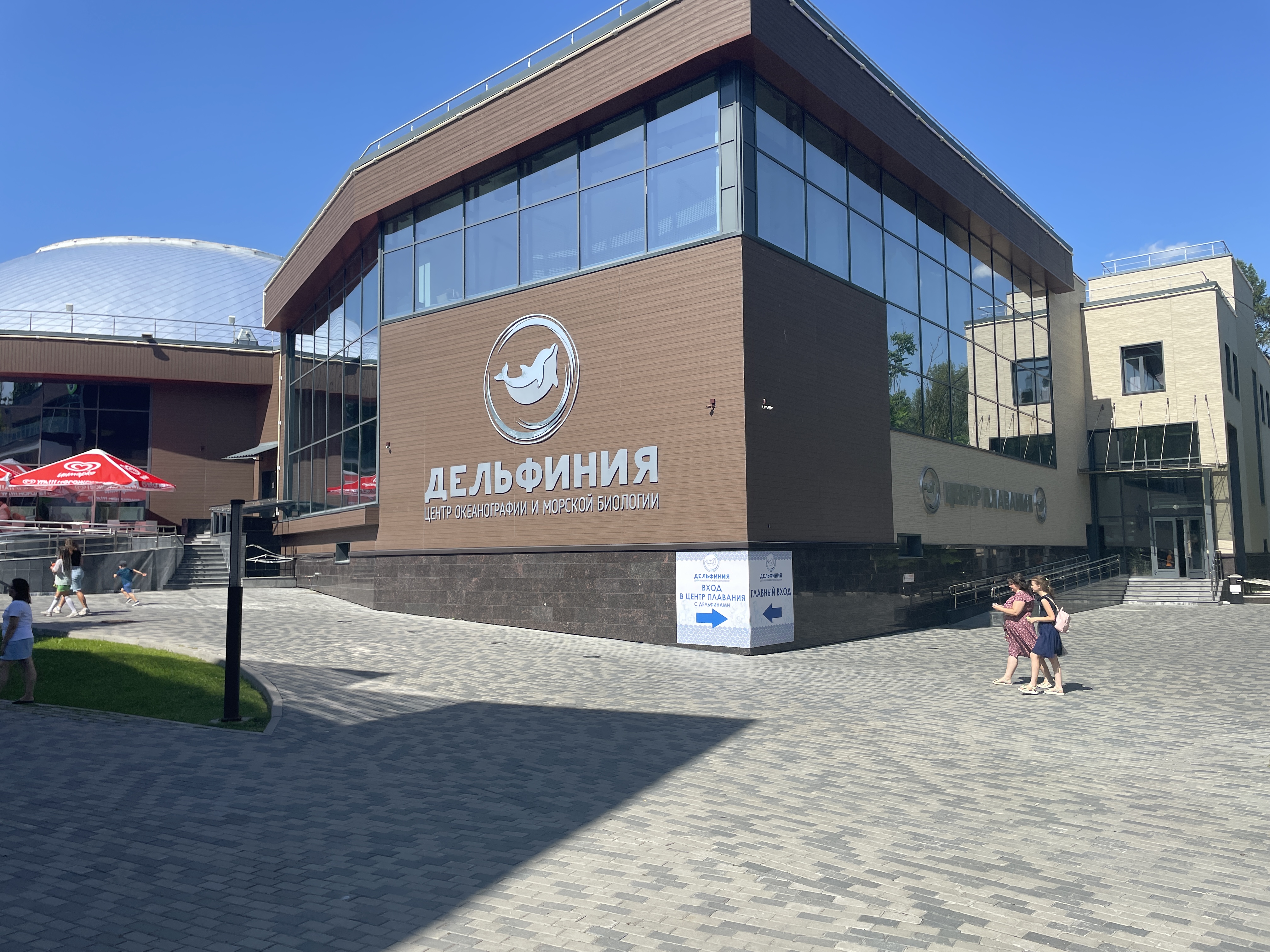 Дельфиния