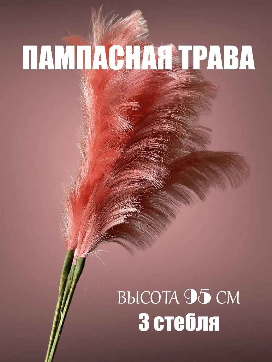 перо трава бол