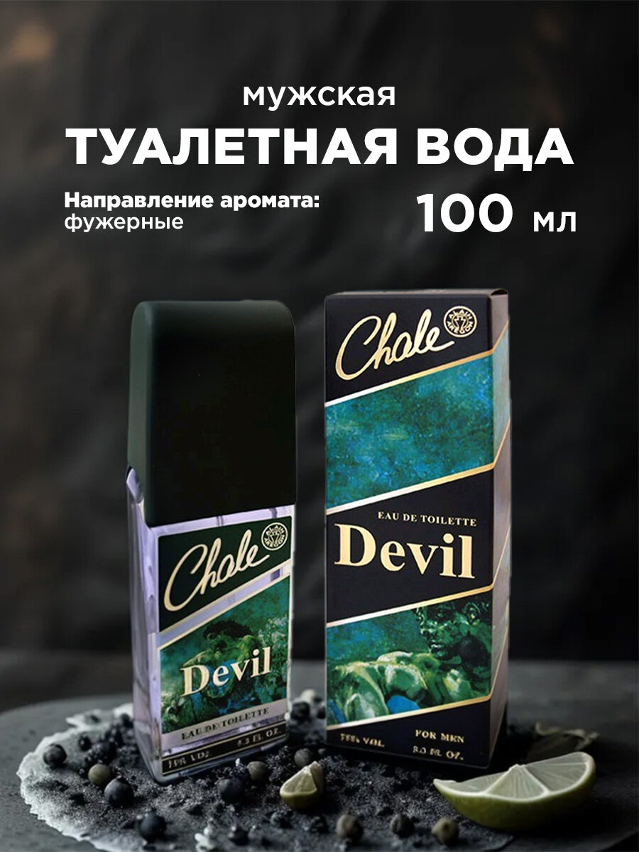 Туалетная вода мужская Chale DEVIL edt100ml (9)
