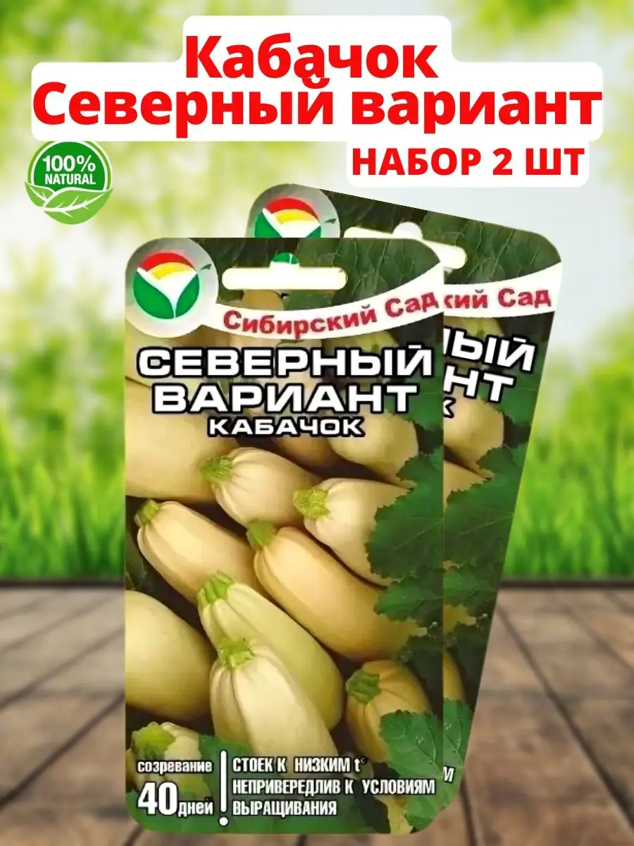 Семена Кабачок "Северный вариант" 5шт 'Сиб сад" (10)