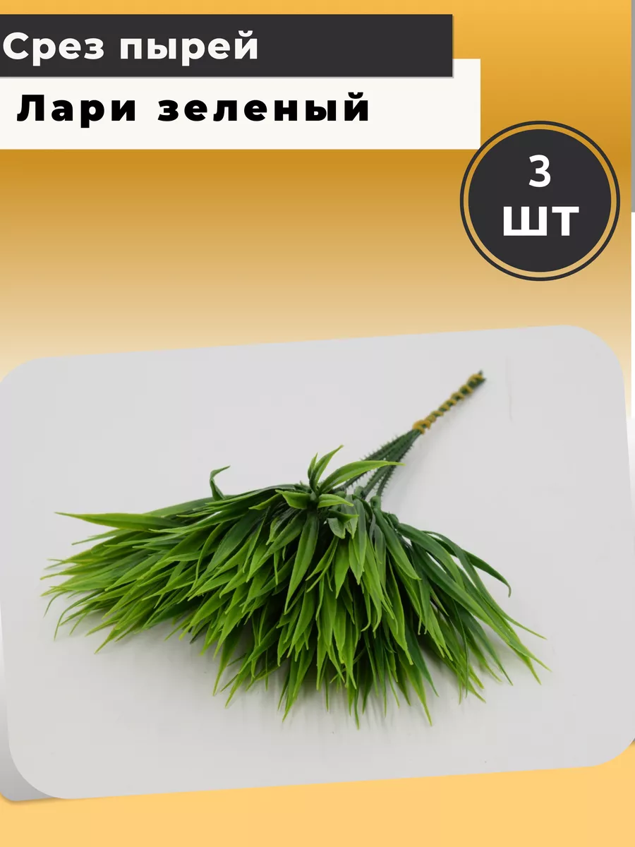 пырей срез
