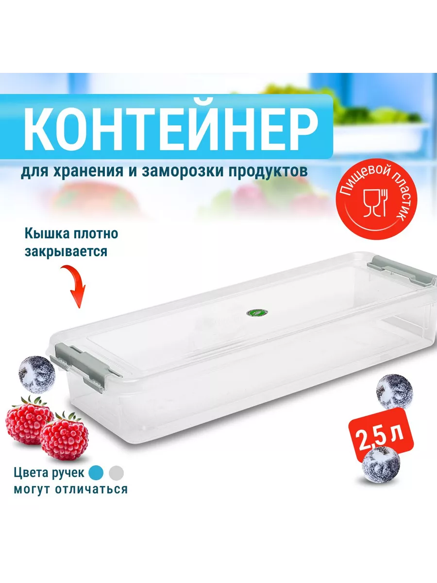 Контейнер низкий 2,5л с/зажим "Grand" 376х150х67 ЭЛФ493 Ессентуки