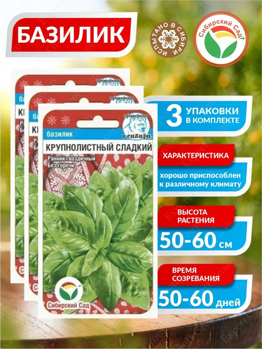 Семена Базилик зеленый "Крупнолистный Сладкий" 0,5гр "Сиб Сад" (10)